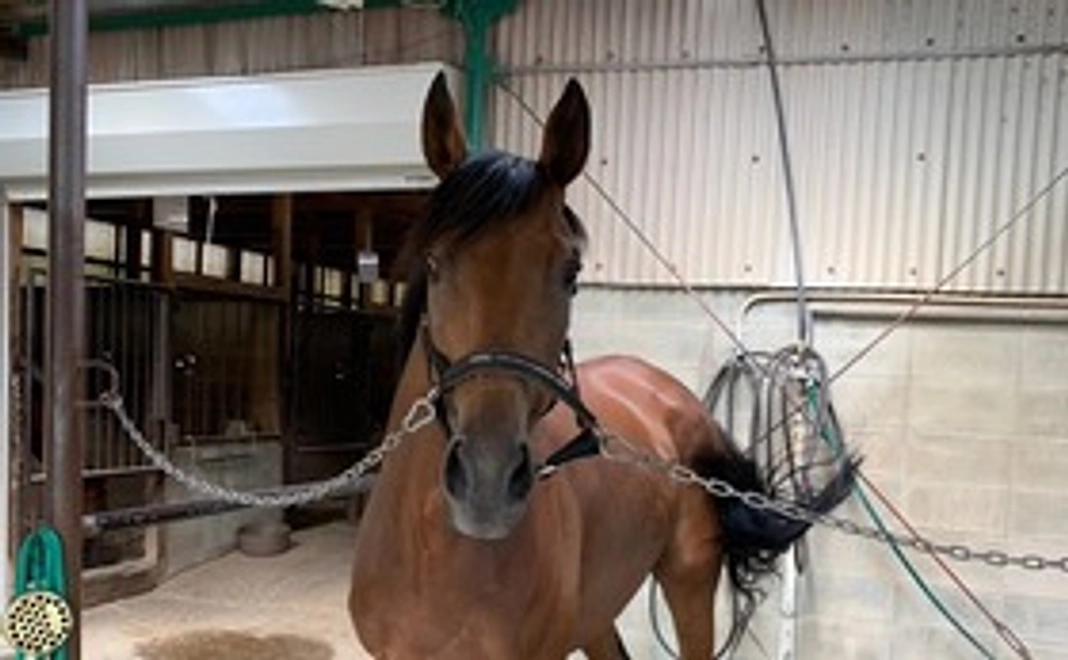 マンスリー支援1000円