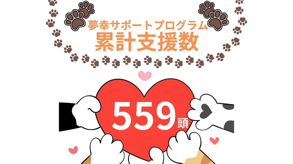 2月も皆様のおかげで148頭の猫ちゃんに支援できました！