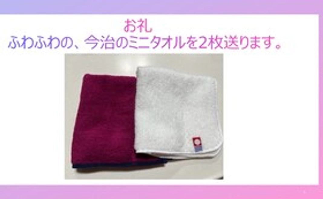 お礼に今治のミニタオルを2枚送ります。