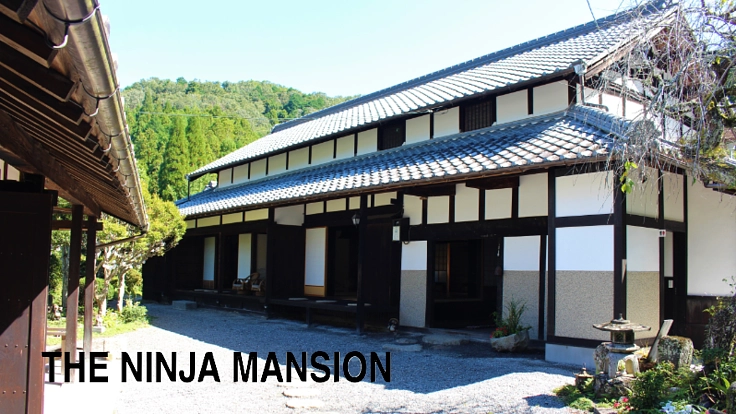 The Ninja Mansionは新たなステージへ。愛犬とともに寛げる宿を