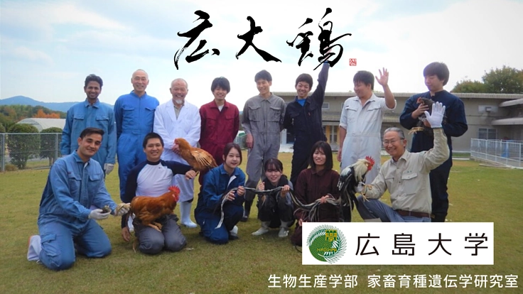 日本初！広島大学と地域の特色をいかした地鶏プロジェクト