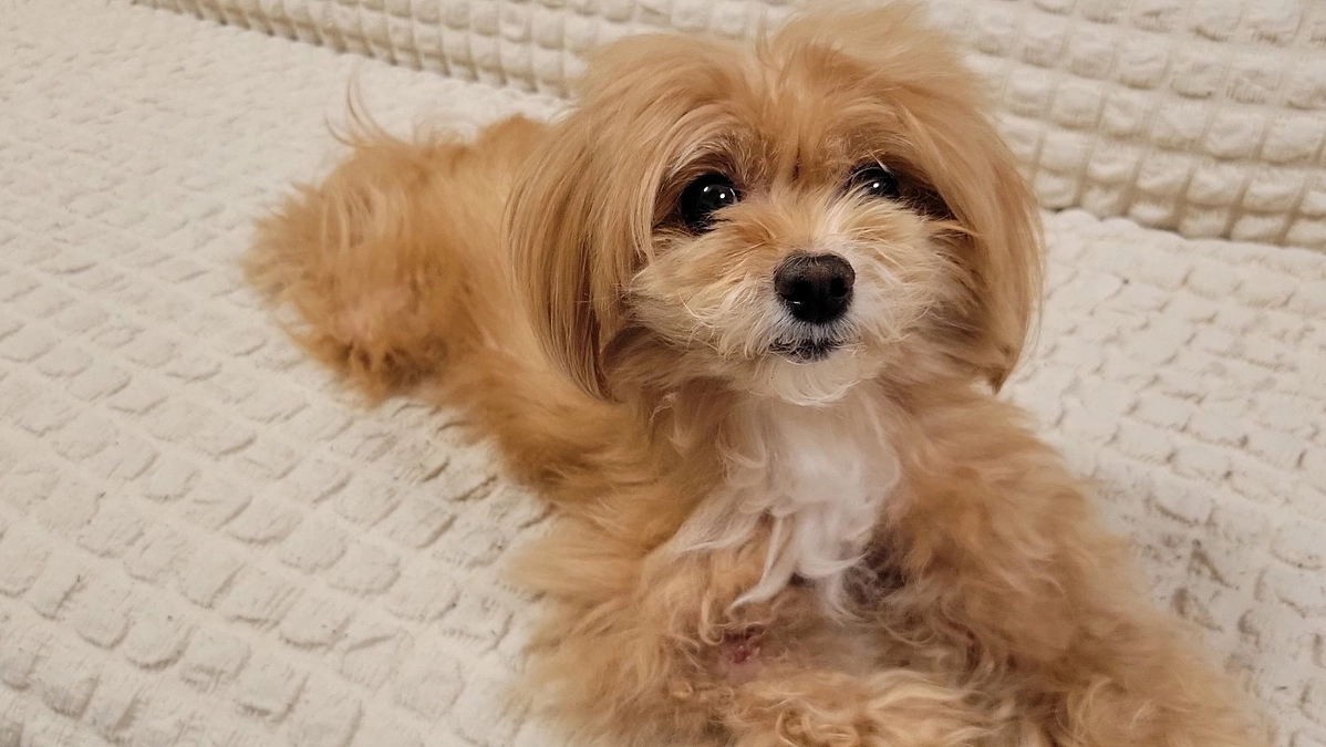 本日からよろしくお願いします。