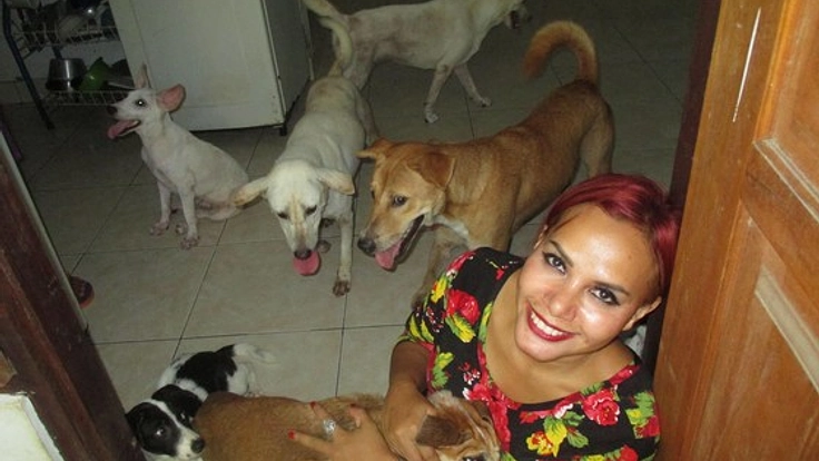 活動停止寸前のバリ島アニマルシェルターを復活へ！