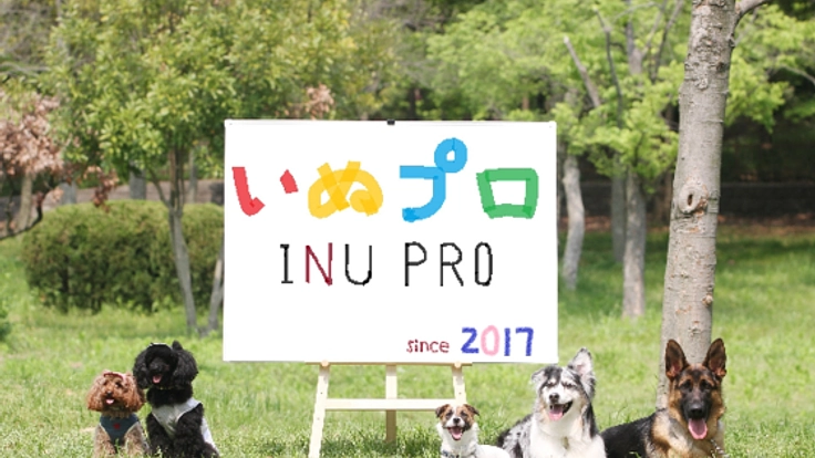 犬の正しい情報発信と共有をし、犬と人の未来をより良くしたい！