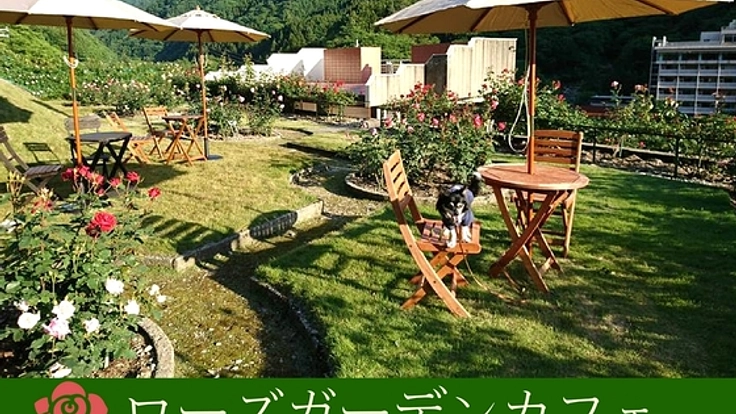 山形県あつみ温泉街に、薔薇で囲まれたカフェを本格オープン！