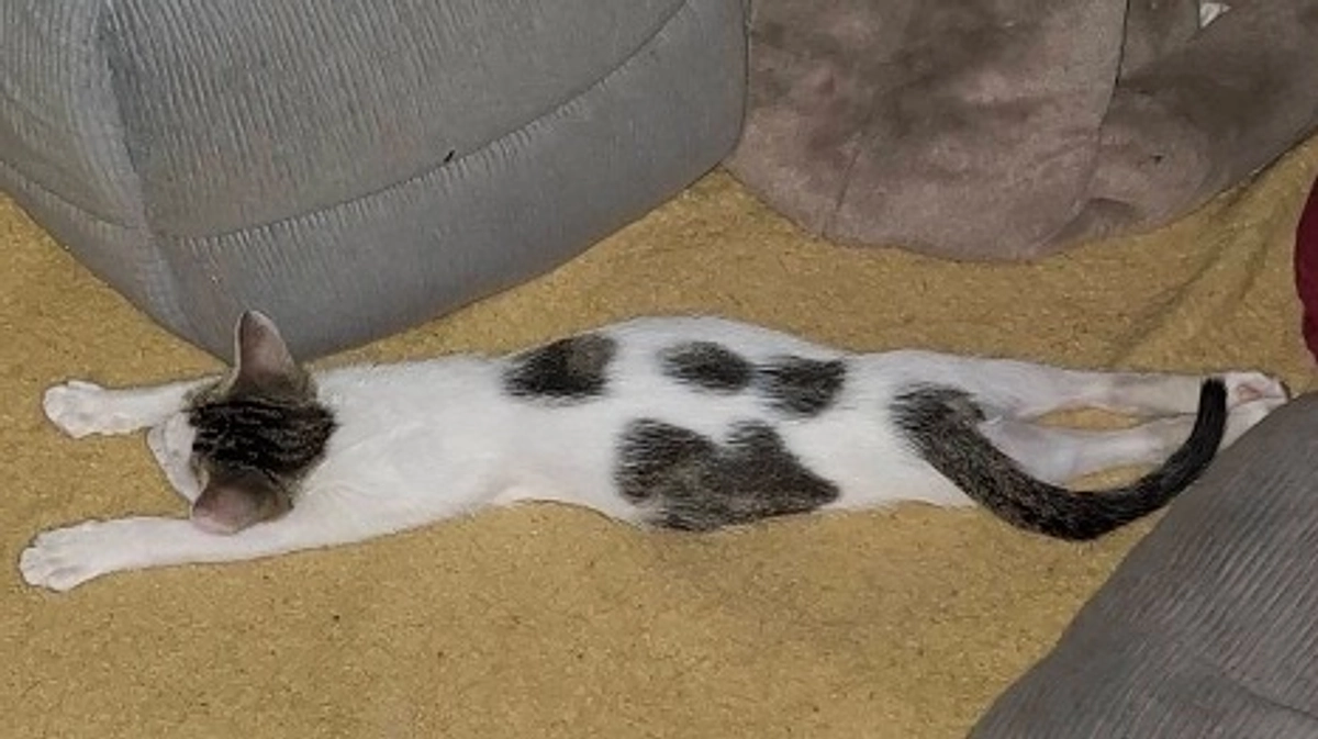 私がこだわる理由