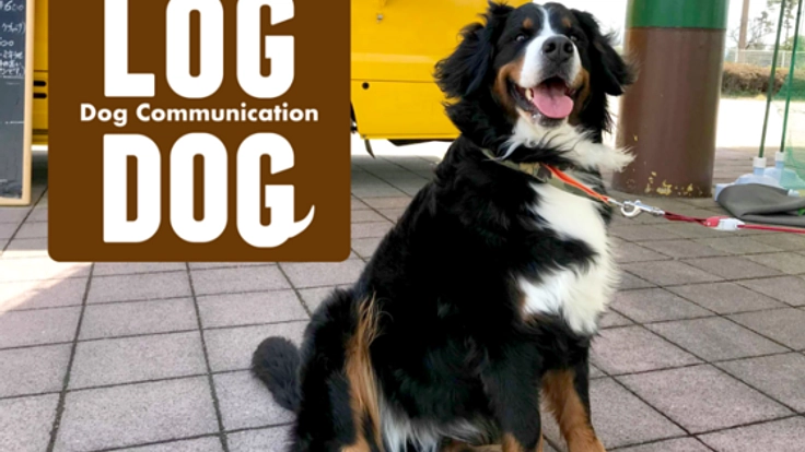 鳥取県米子市でドッグランイベントLOGDOGを開催