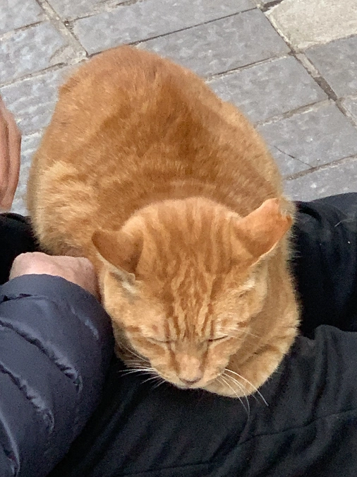 お陰様で、目標達成する事が出来ました。ありがとうございます。