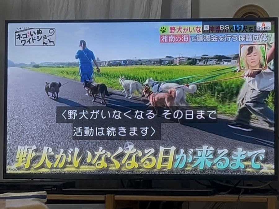 目標まであと28万円！BS ASAHIの番組で、団体が紹介されました。