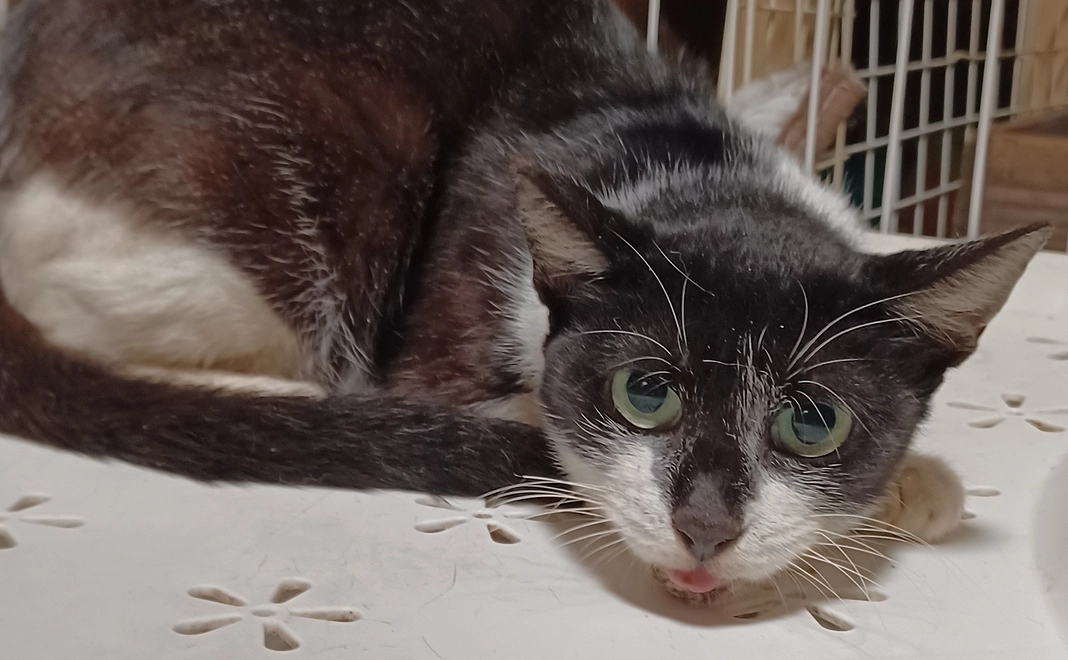 感謝のメール⑦