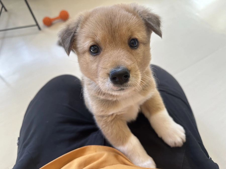 今年の目標は１００頭の家族を見つけるぞ‼