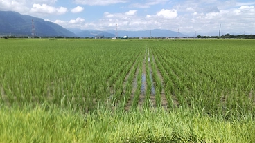 日本の生態系を守り子世代、孫世代に豊かな自然を残したい のトップ画像