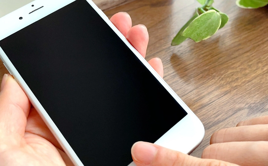 【企業・団体様 向け】シルバースポンサー