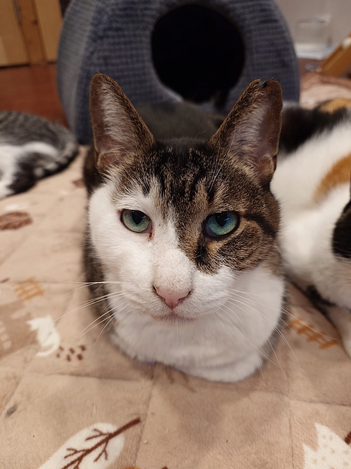 目標達成いたしました！