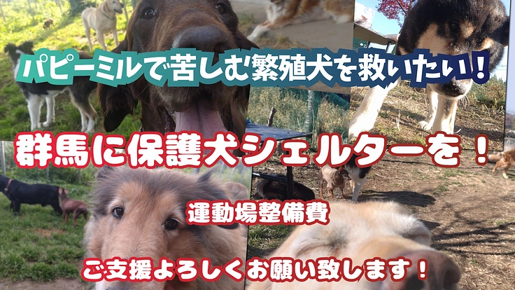 群馬県に保護犬シェルターを！ ┃ 運動場舗装の工事費用