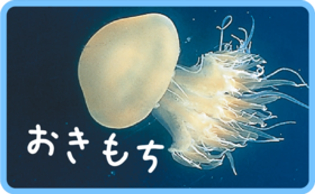 お気持ちコース