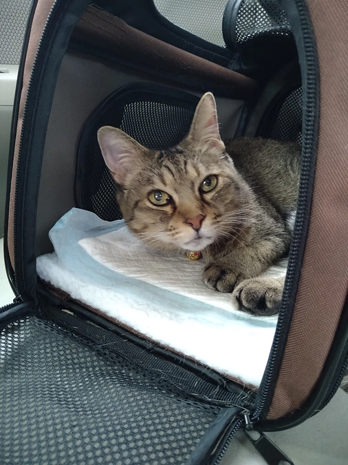 9月24日通院日です＜投薬77日目＞