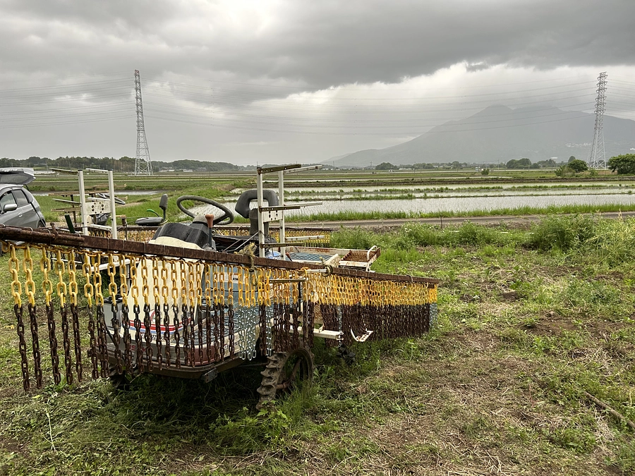 二十四節気 立夏、七十二候 蛙始鳴(かわずはじめてなく)