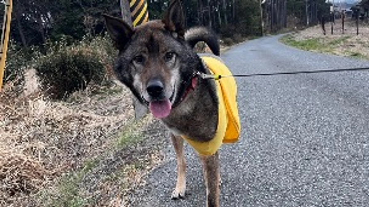 達成のご報告(終了は明日の23時です)