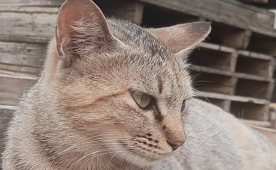 心からの感謝のメールを致します。