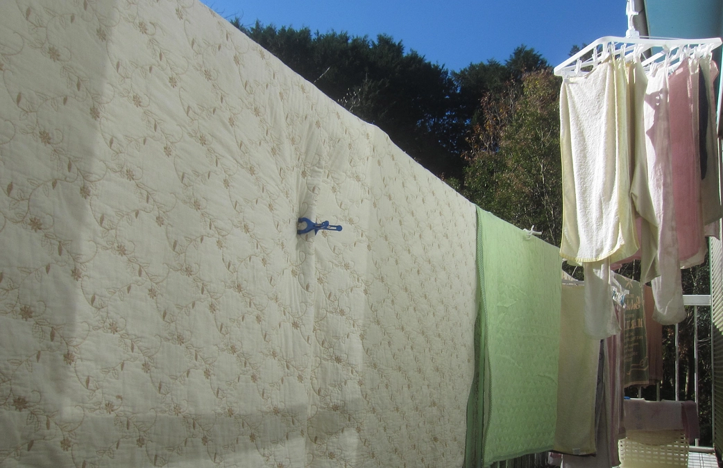 洗濯物追記／今朝は晴天（喜）