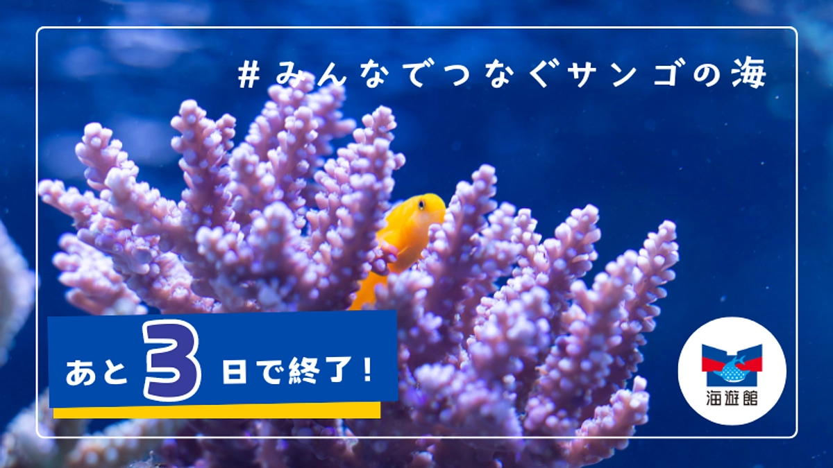 【残り3日】リターン紹介｜オリジナル絵本「さんごのおはなし」