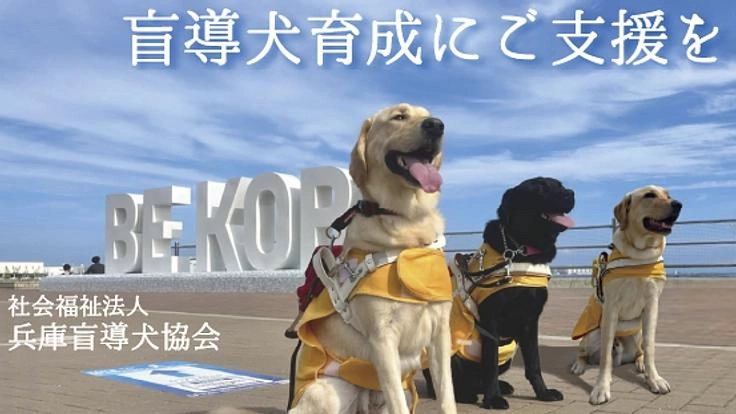兵庫盲導犬協会｜視覚障がい者のパートナー、盲導犬の育成費にご支援を