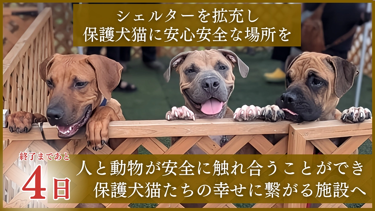 残り4日！ラストスパート突入、拡散のお願いです！