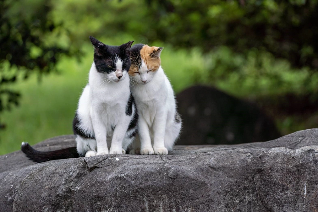 本当にありがとうございます！！第一目標達成！ネクストゴールに挑戦します！！