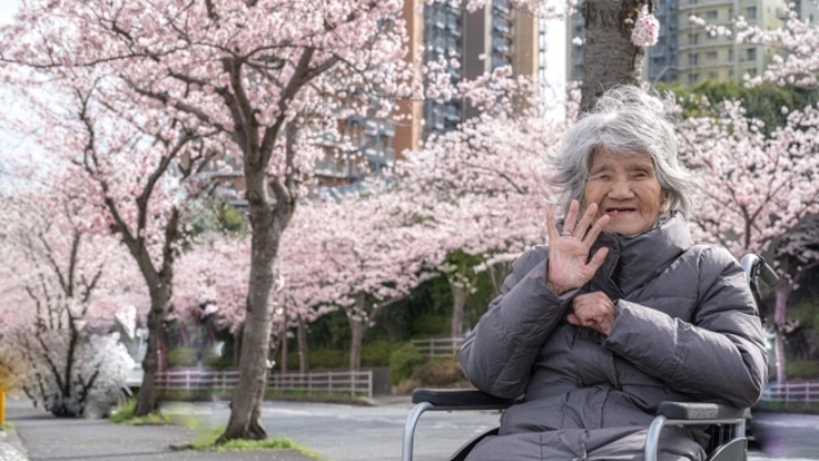 地域特化型店舗と団地の活性化