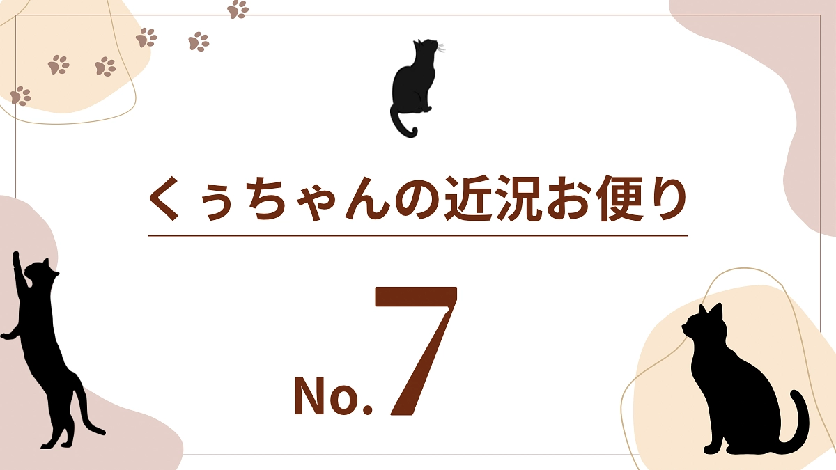 【くぅちゃんの近況おたより（8月12日）】