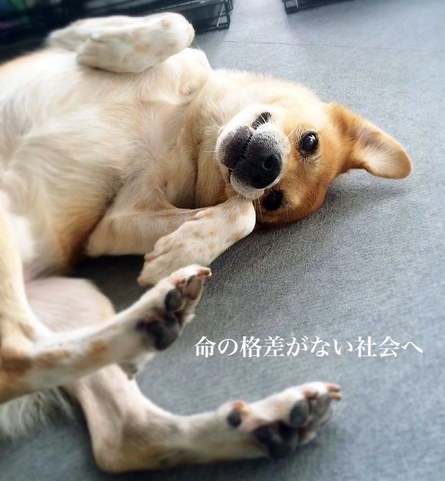 【クラウドファンディング終了！】多大なる温かな応援に感謝です！