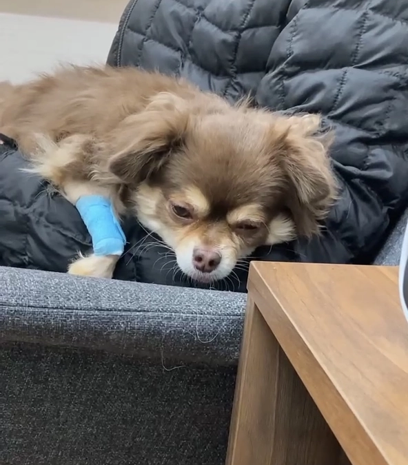 ミントを抱っこ