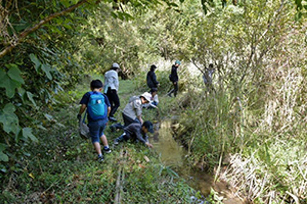 いもりの里の10月と11月の予定