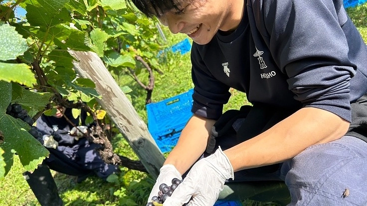 2023年北照ワインプロジェクト！高校生がワイン？！ 2枚目