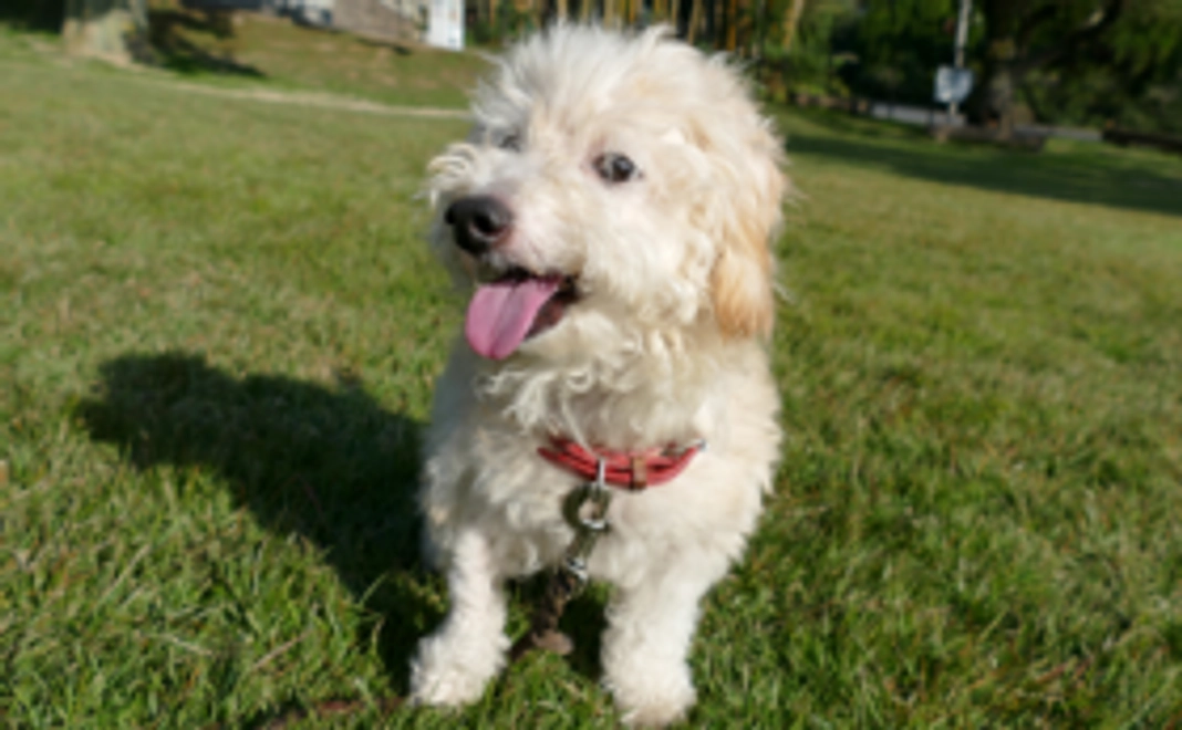 【お気持ちコース】