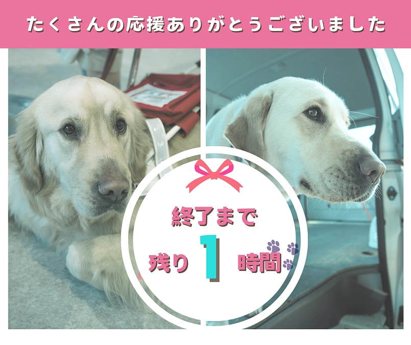 残り1時間（ありがとうございました！）