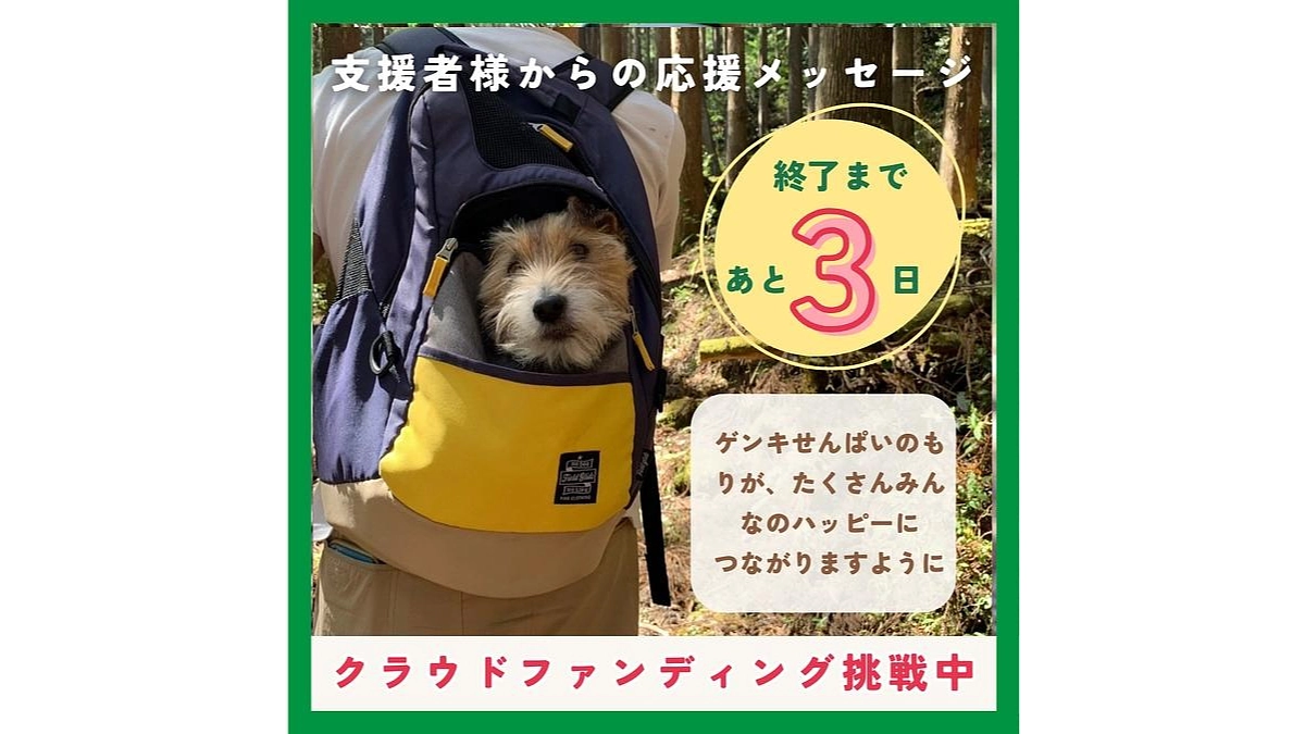 【ワンズ・ラフのストーリー⑪：ゲンキが森に帰るとき】