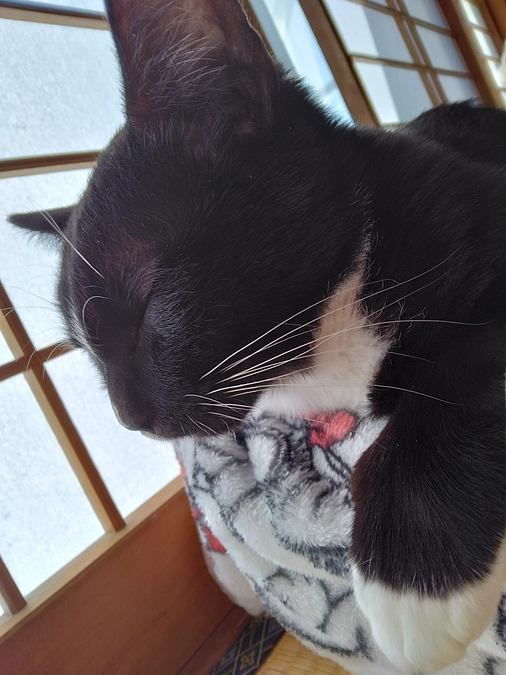 2/8はなちゃんの様子(発作あり)