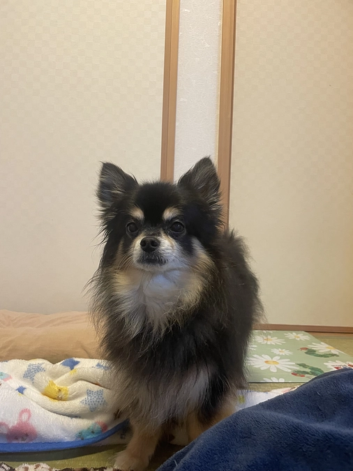 退院と日中の預かり復活