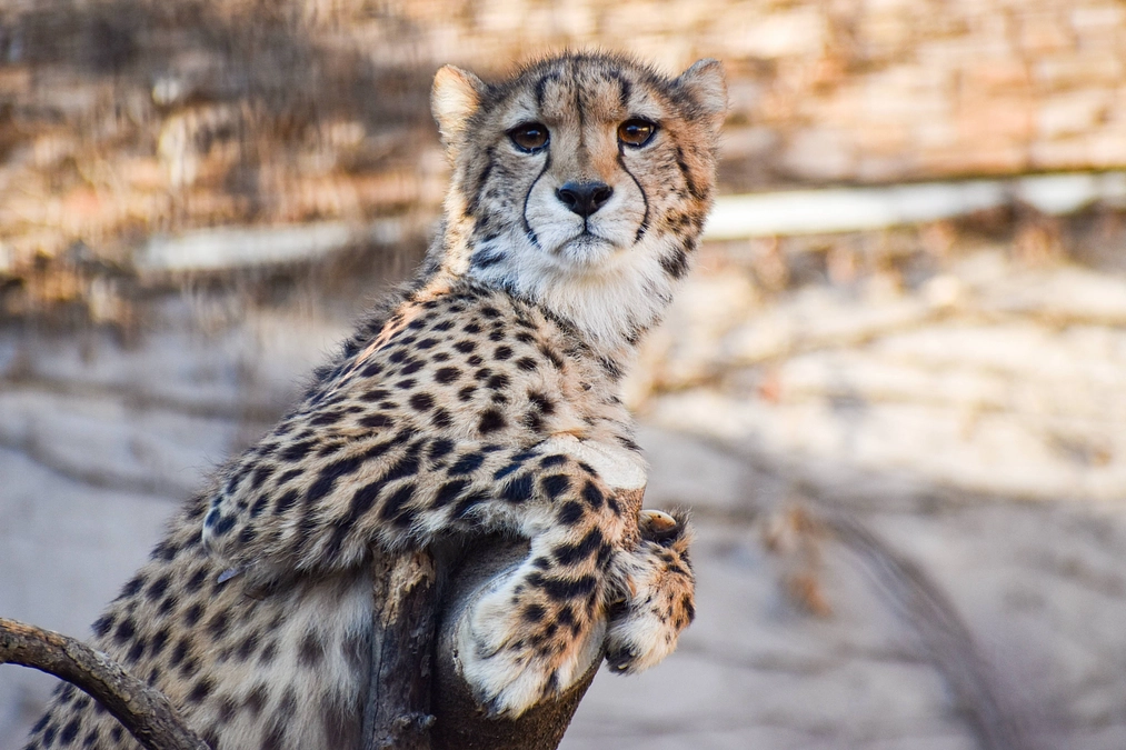 12月30日(土) 進捗報告～返礼品第２弾追加のお知らせ～