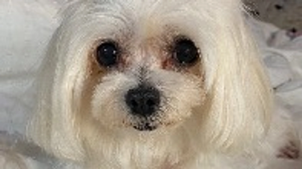 ㊗️ネクスト達成しました！㊗️