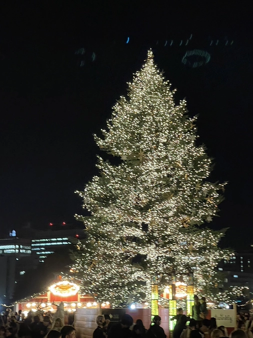 メンバーブログリレー11.