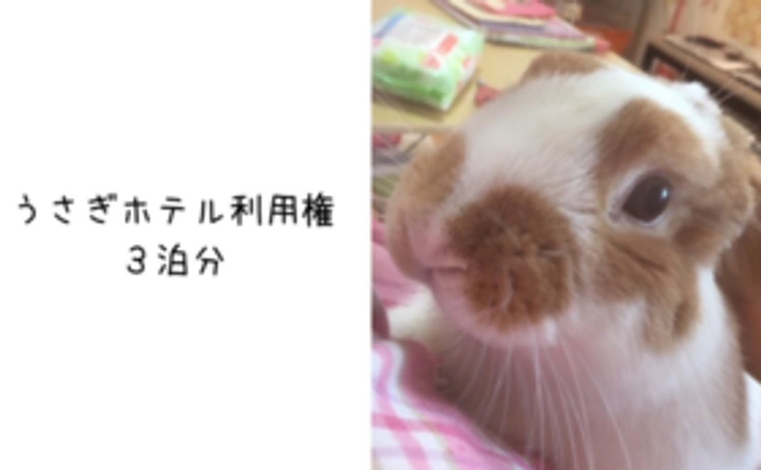 うさぎホテル利用権　３泊分コース