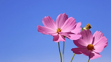 気軽にカウンセリングを！何でも話せるカウセリングルームを作りたい のトップ画像