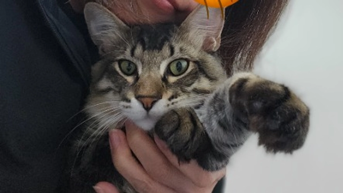 キジくん活動報告(12/10)