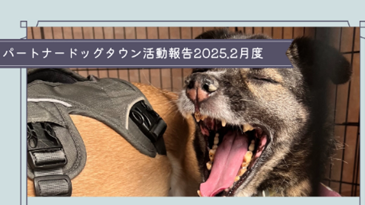 活動報告2025年2月度