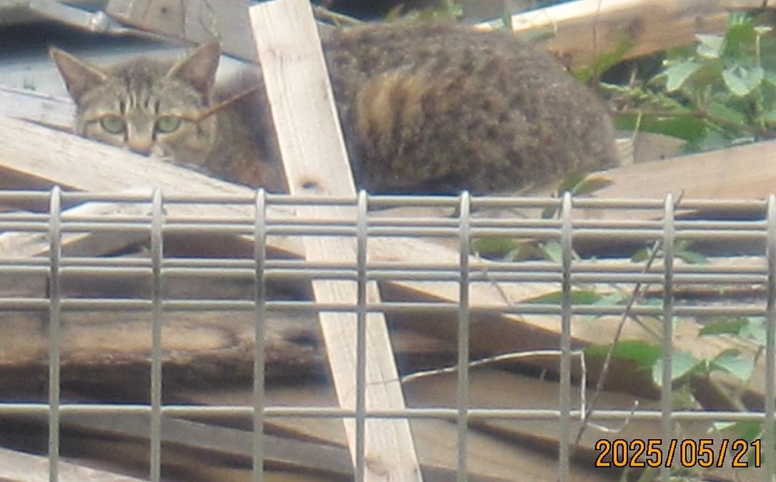 【最終日】ご支援ご協力を賜り誠にありがとうございます