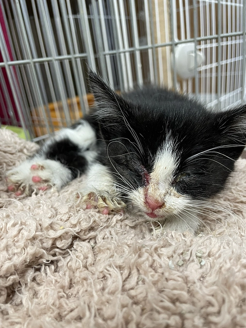 初心を忘れない事。