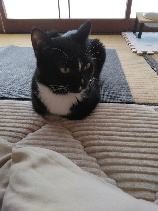 5/23はなちゃんの様子